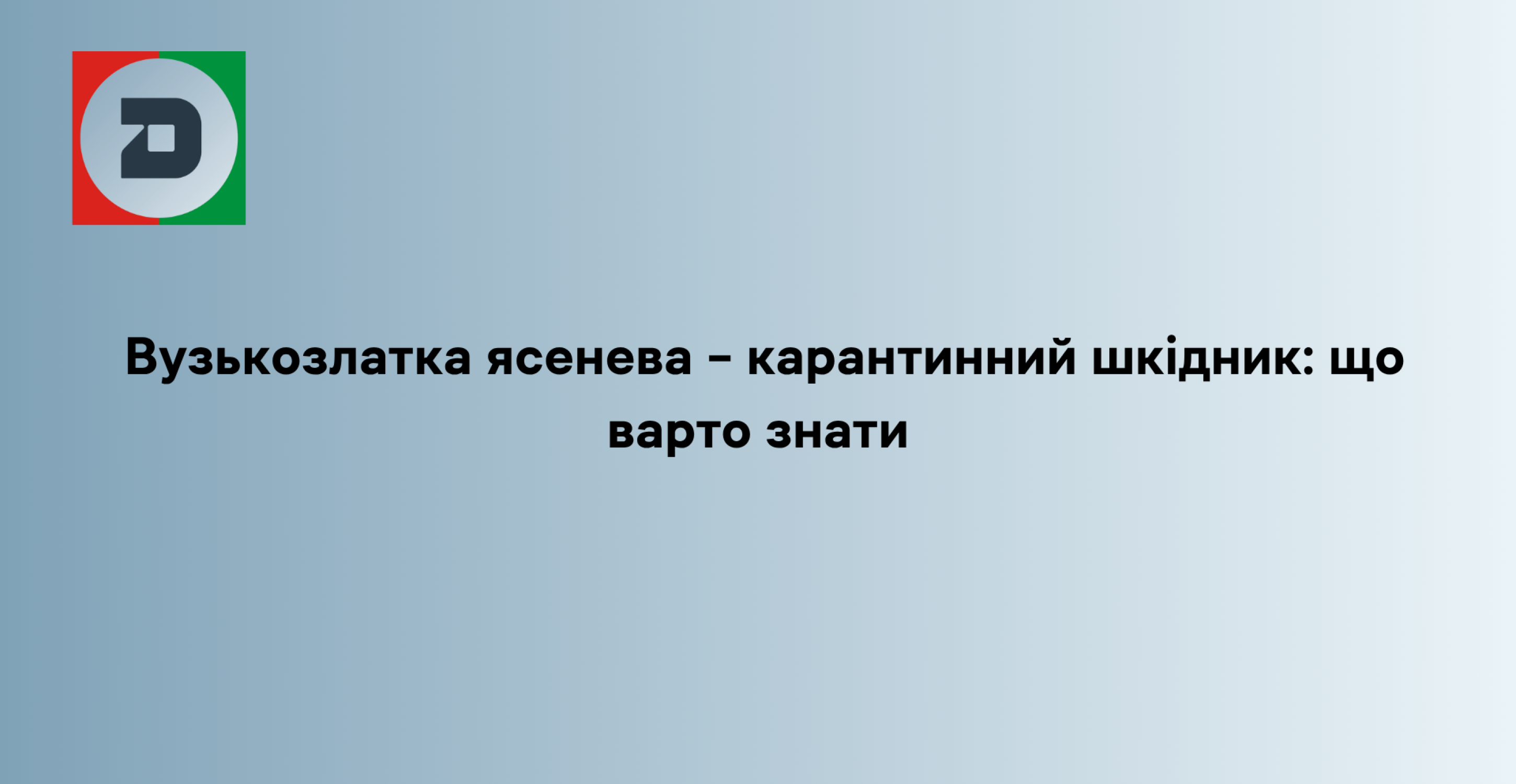 Вузькозлатка ясенева – карантинний шкідник: що варто знати
